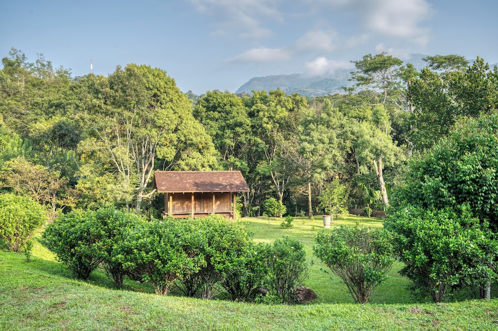 Living Heritage Koslanda by null