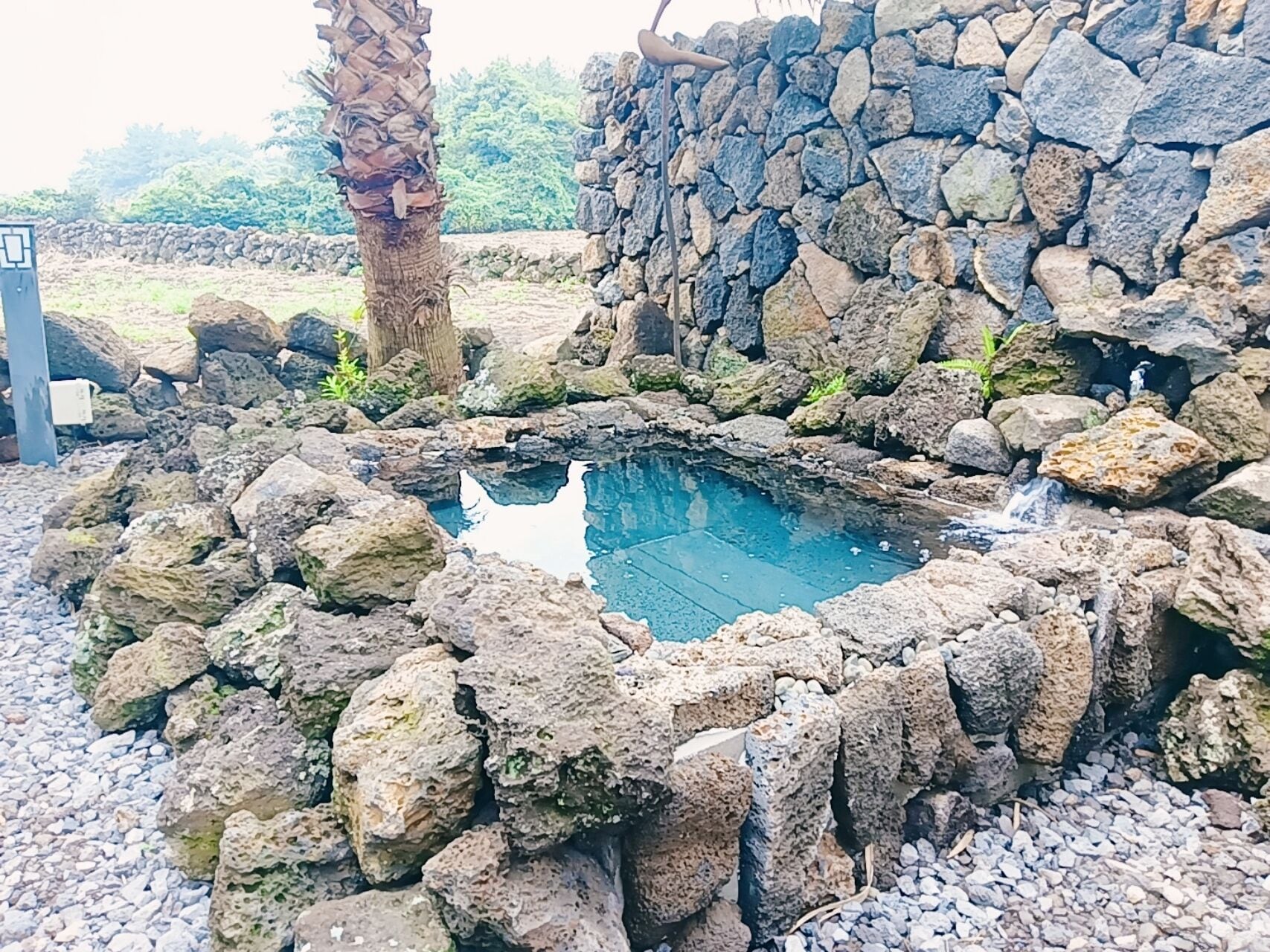 suite, terrace, garden area | terrace/patio