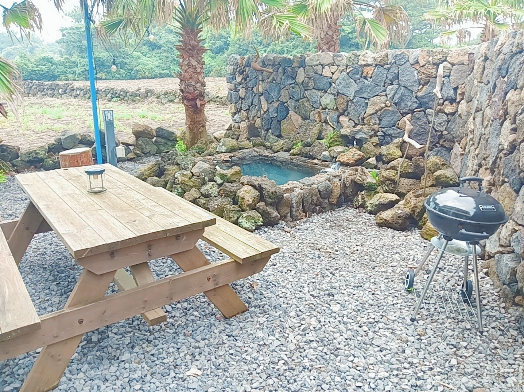 suite, terrace, garden area | view from room