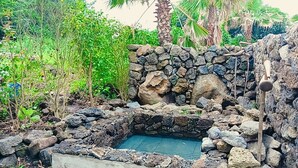 A stone hot tub surrounded by lush greenery and palm trees.