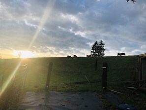 Unclassified image, 4 of 12, button