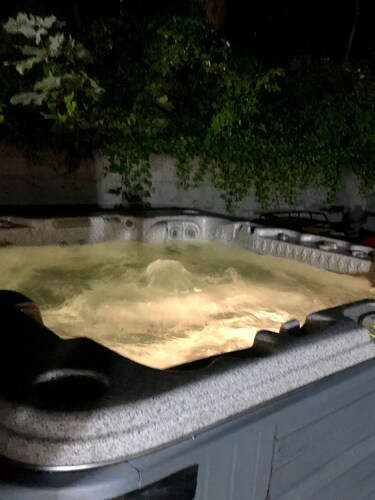 Mid-Century Adventurers Gettin' Funky on the Farm