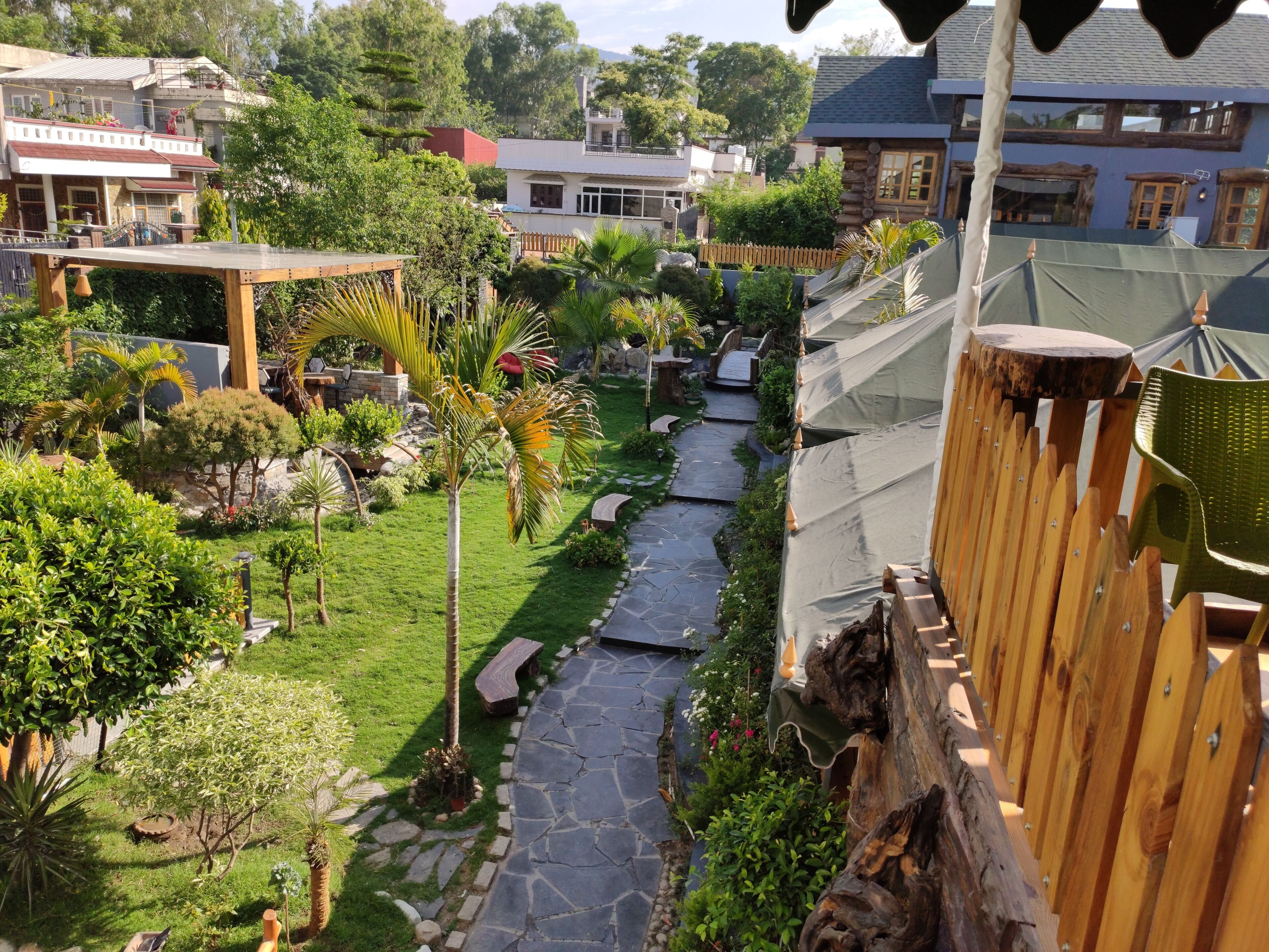 A garden pathway surrounded by lush greenery and a wooden fence.