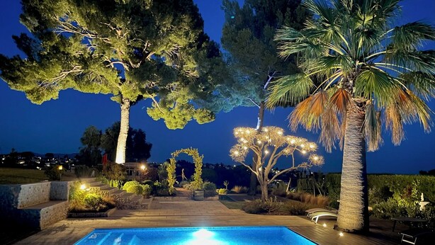 Zona de piscina exterior de noche con piscina rectangular, rodeada de árboles y palmeras, e iluminada con luz ambiental.