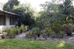 Property grounds - Large family home Stellenbosch cbd (Stellenbosch Central)