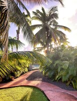 A pathway leading through a tropical garden with palm trees and a clear sky.