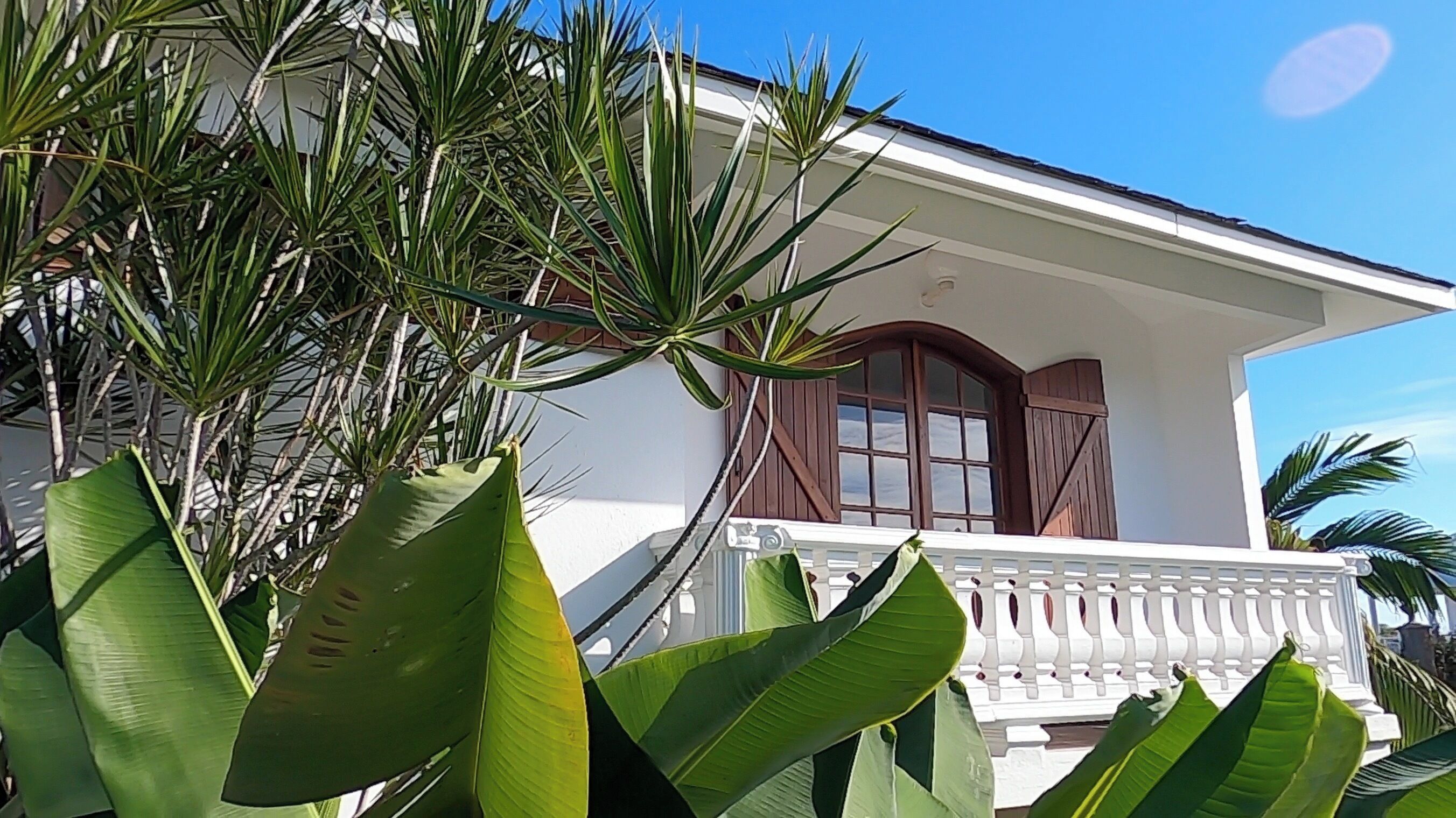 A house with a white exterior, a balcony with a white railing, and large green plants in the foreground.