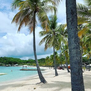 A beach with palm trees, a sandy shore, and a calm sea. - Domaine Saint-François (Saint-François)