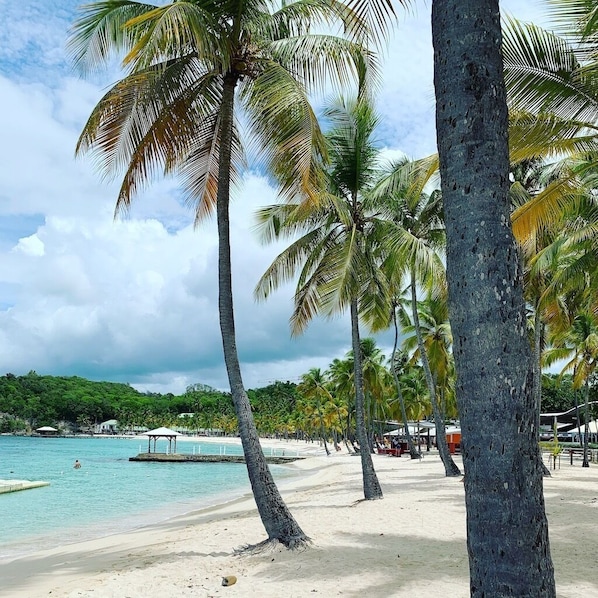 Beach towels, beach massages, windsurfing