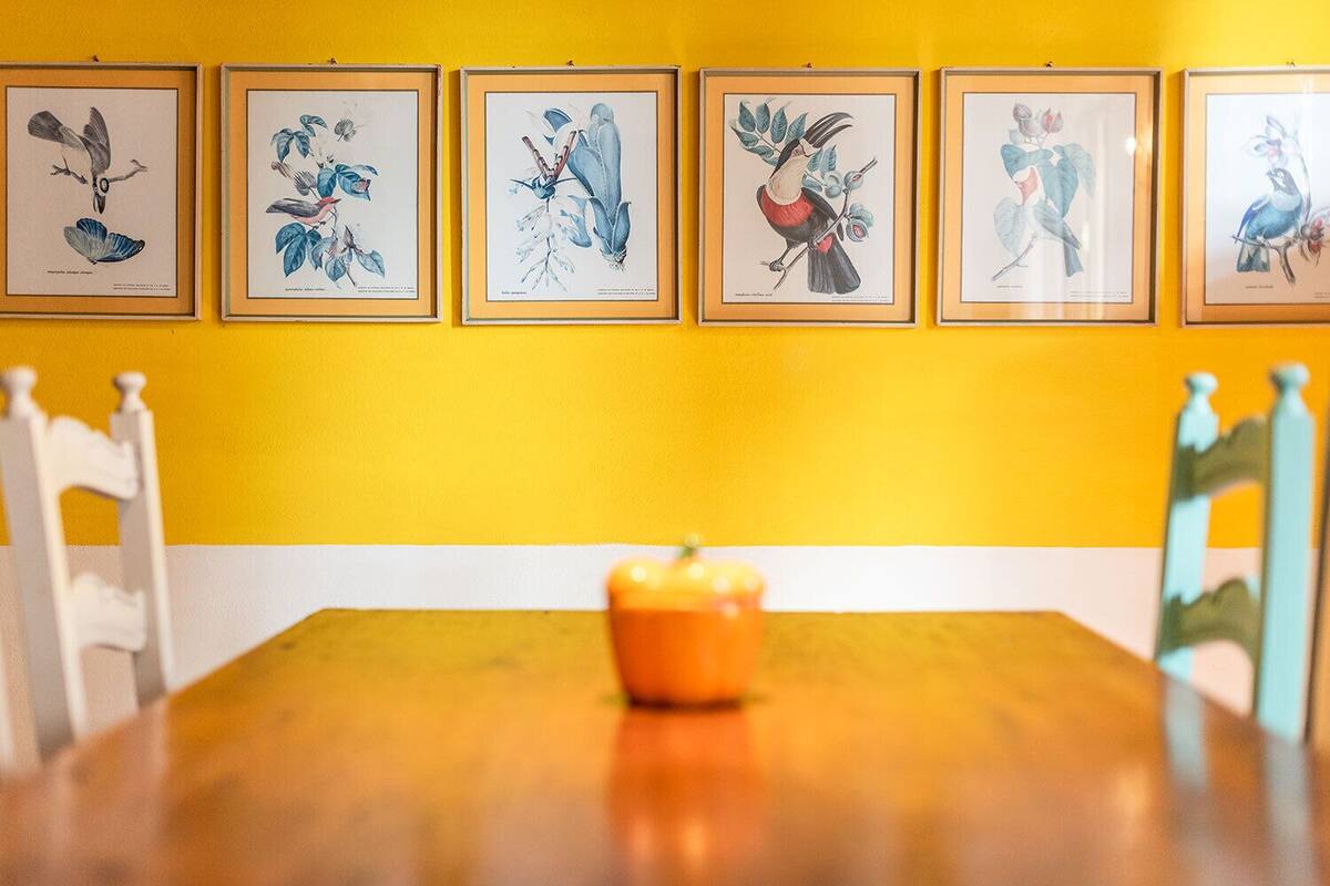 A dining table with a bowl of fruit in the center, surrounded by framed botanical illustrations on a yellow wall.