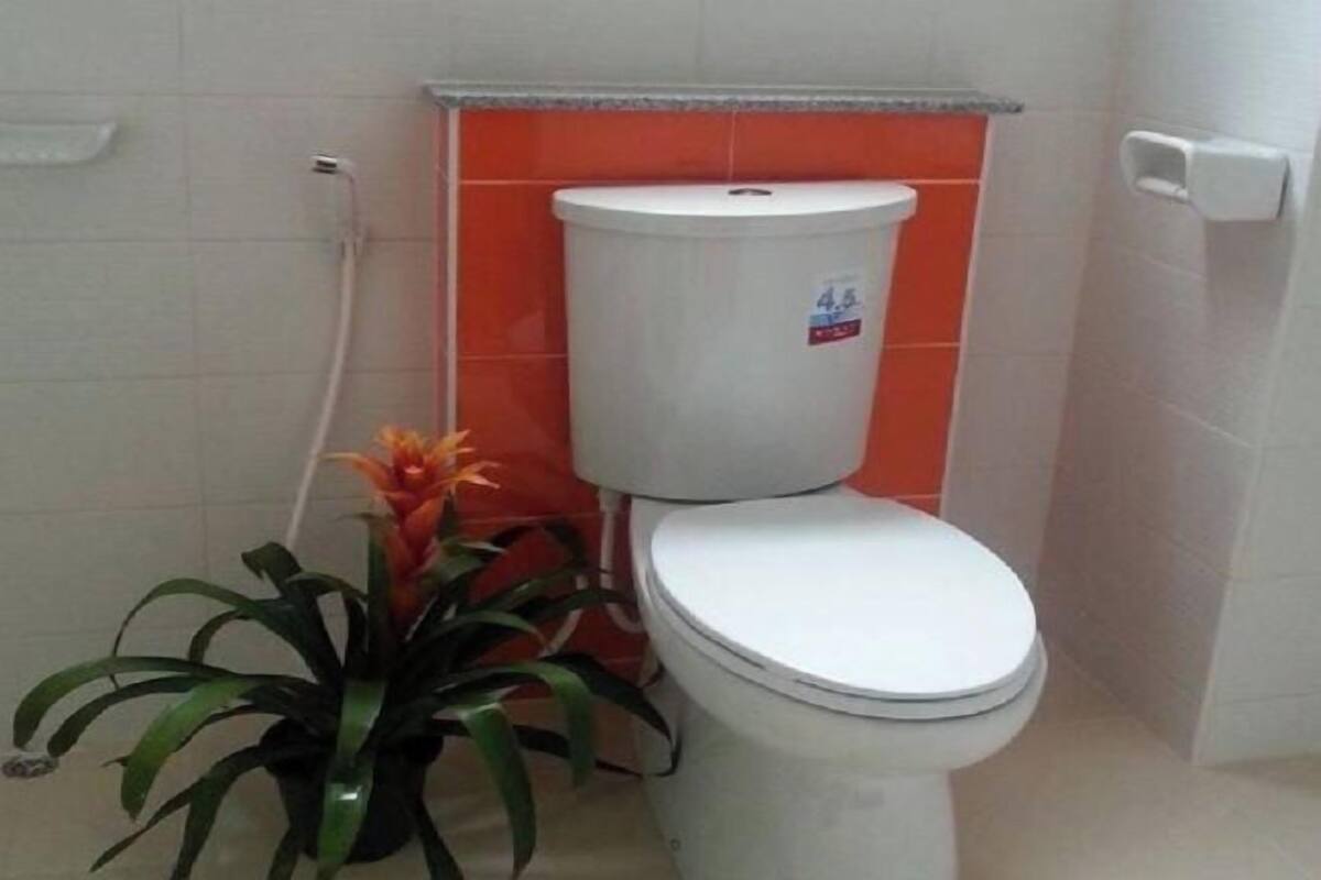 Des toilettes avec une cuvette et un couvercle blancs, une plante en pot à côté, et un mur recouvert de carreaux orange.