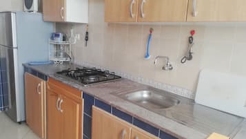 Apartment | Private kitchen | Full-sized fridge, microwave, oven, coffee grinder