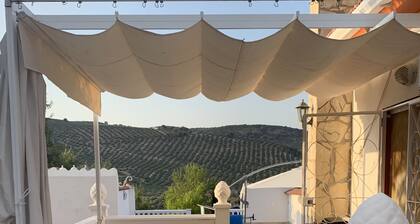 A beautiful rural retreat set in the olive groves of Monte Sol