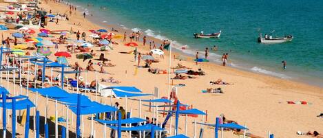 Plage à proximité, chaises longues, serviettes de plage