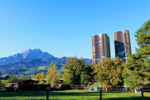 A mountainous landscape with modern buildings and a fenced area. - LU Bourbaki I - Allmend Hitrental Apartment (Lucerne)