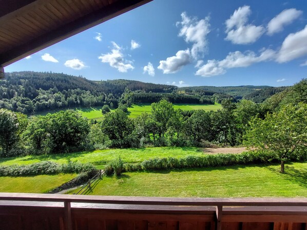 Terrain de l’hébergement 