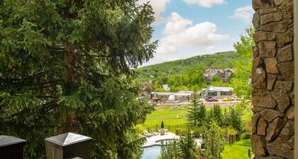 Summer Haven in Snowmass! Stunning Balcony Views, Pool/Hot Tub, Wood FP, Sleeping Den, W/D & Parking