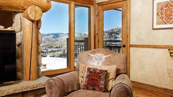 Una televisión, una chimenea, libros