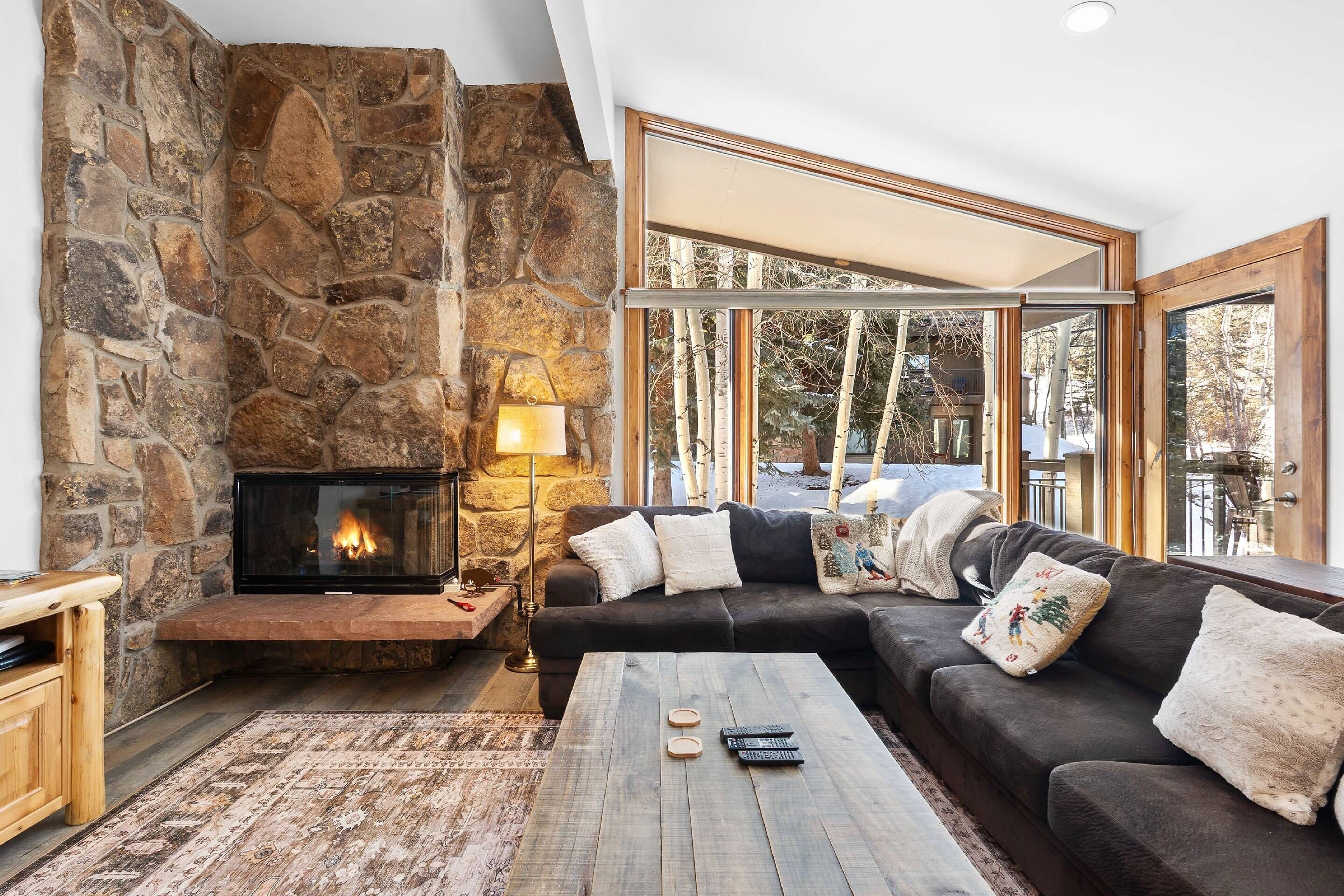 TV, fireplace, books