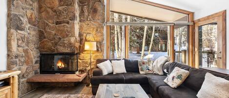 TV, fireplace, books