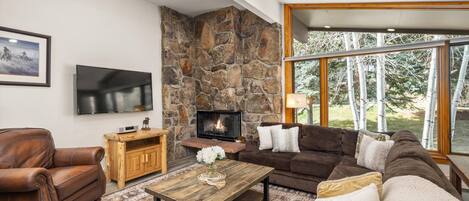 Fernseher, Kamin, Bücher