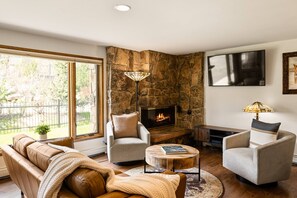 TV, fireplace, books