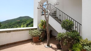 Un balcón con plantas en macetas, una escalera y vista a una ladera verde.
