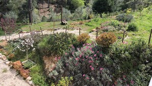 Un jardin avec différentes plantes et fleurs, un banc en bois et une zone délimitée par une clôture.