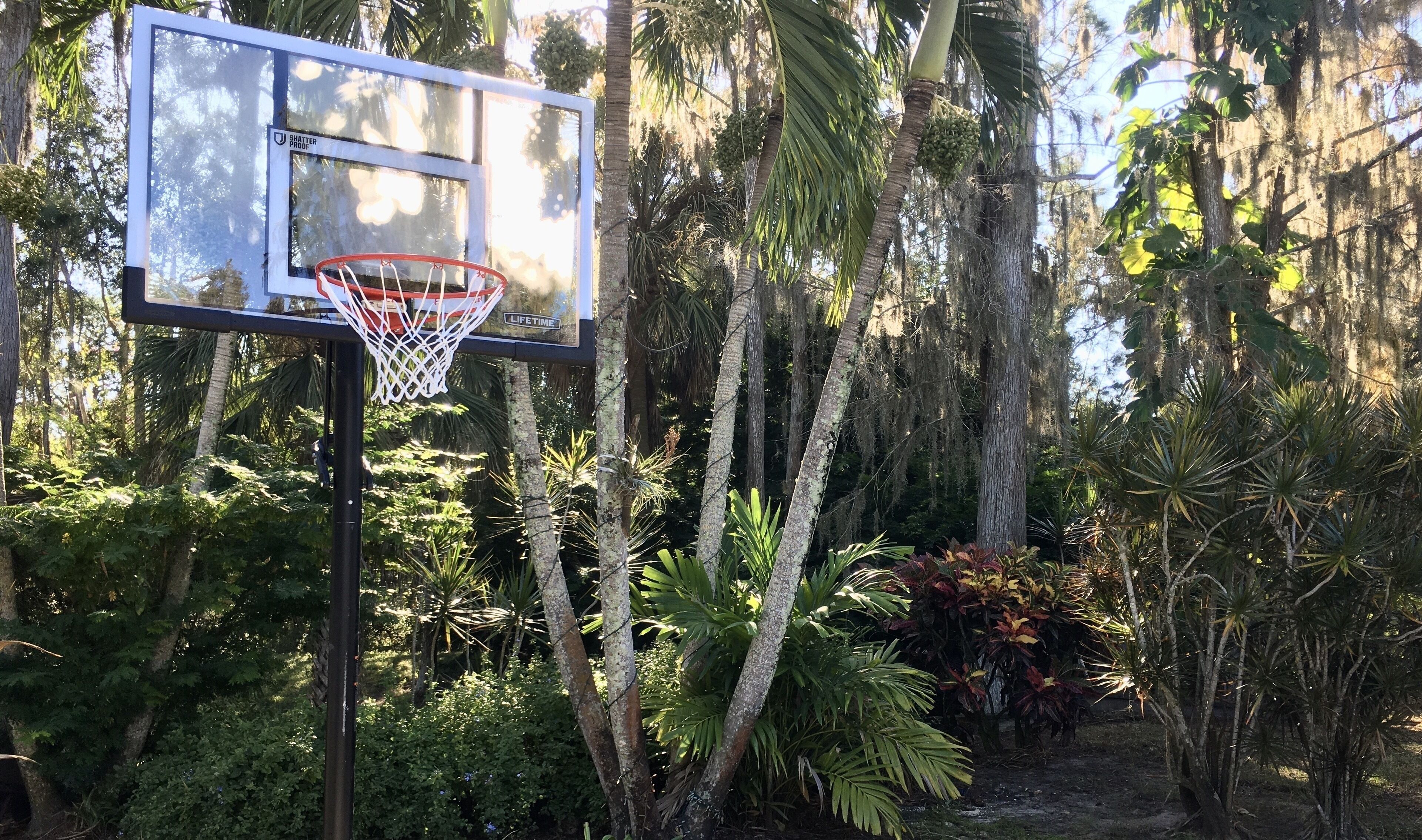 Canasta de baloncesto con un cartel que indica garantía irrompible y de por vida, rodeada de abundante vegetación tropical.