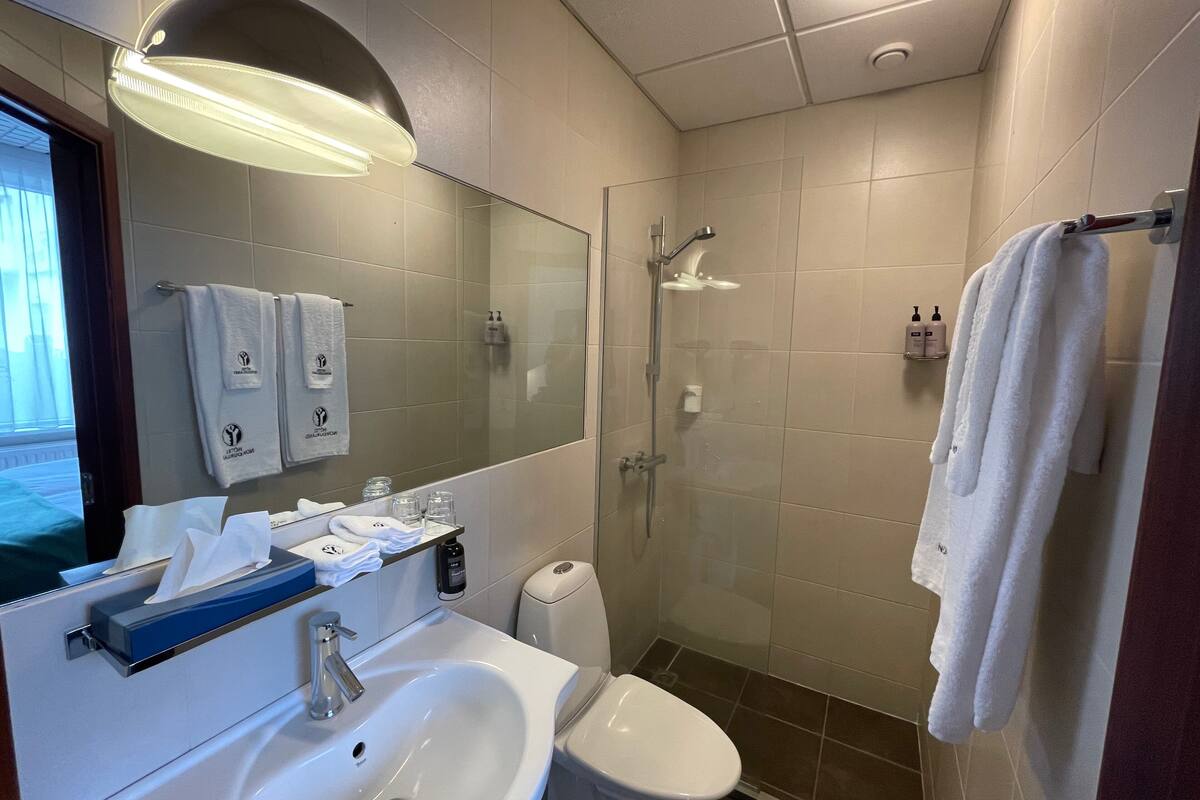 shower, free toiletries, hair dryer, towels