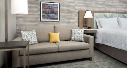 Hampton Inn Boston Logan Airport Chelsea