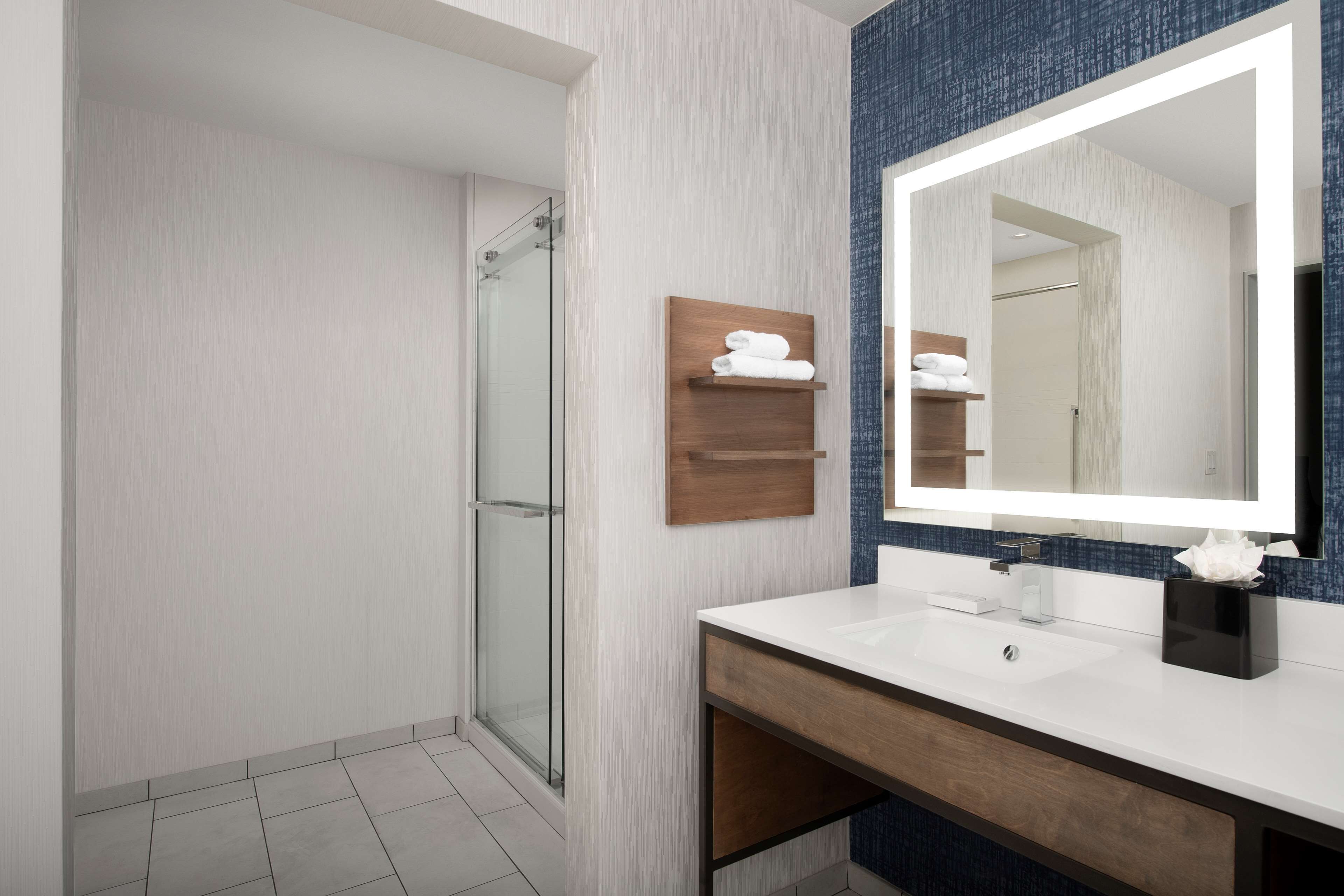 suite, 1 bedroom | bathroom shower