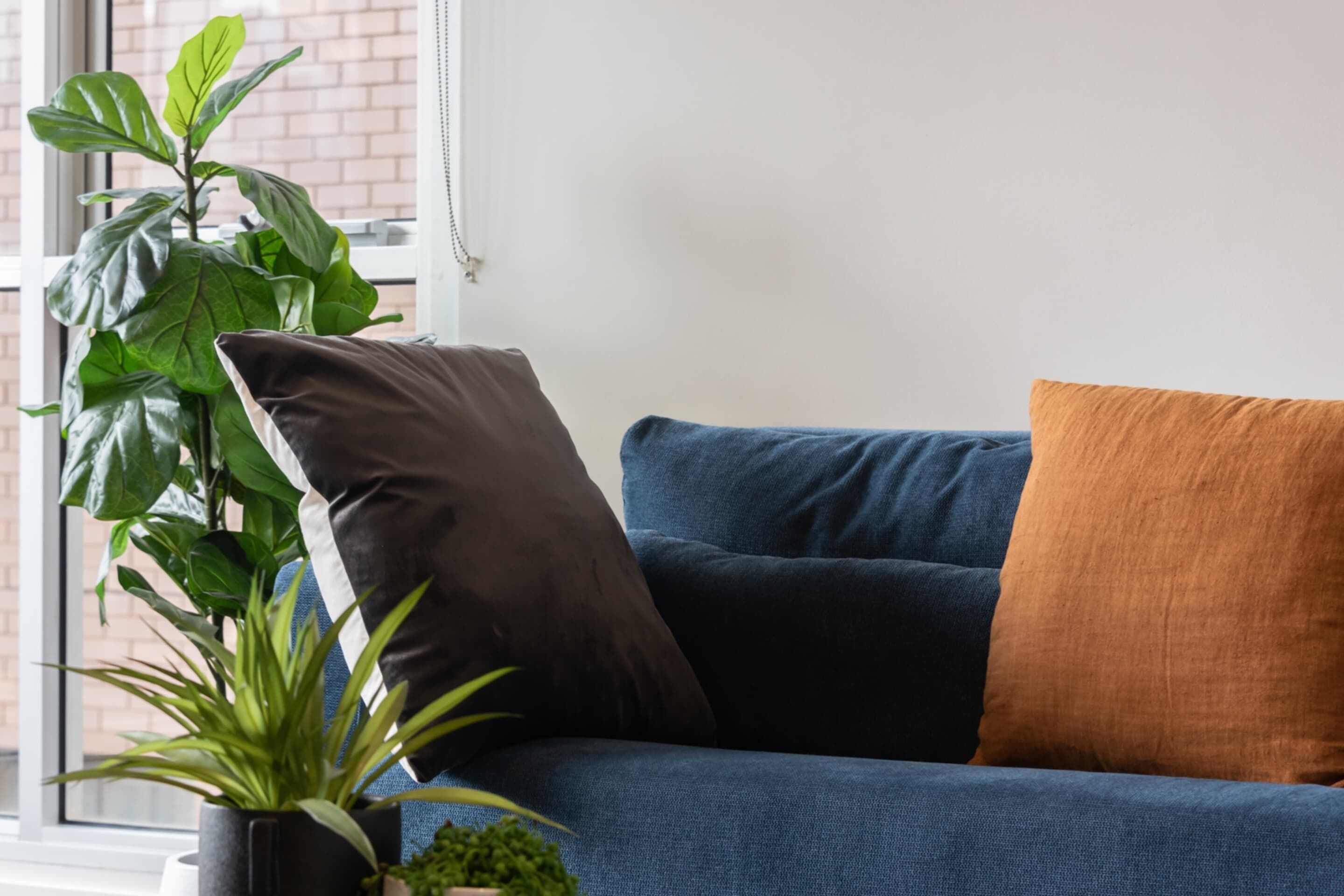 Apartment (1 Bedroom) | Living room | TV