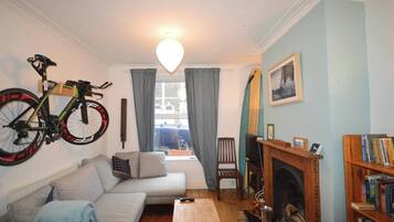 TV, fireplace, books