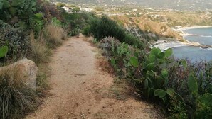 A dirt path leading to a coastal area with cacti and sparse vegetation. - Villa Faro with fragrant garden and unforgettable panoramic view! 350m (RICADI)