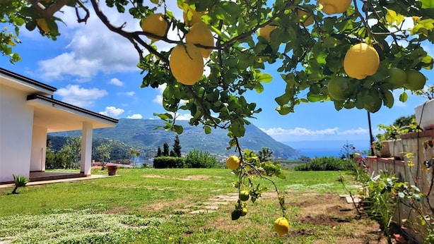 A garden with lemon trees and a view of a mountainous landscape. - Villa Faro with panoramic garden and barbecue. 350m from the sea (RICADI)