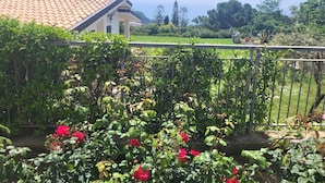 Un jardín con rosas rojas, una valla metálica y un edificio con techo de tejas.
