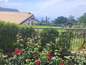 Property grounds - Villa Faro with panoramic garden and barbecue. 350m from the sea (RICADI)