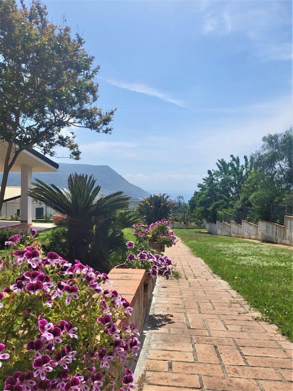 Property grounds - Villa Faro with panoramic garden and barbecue. 350m from the sea (RICADI)