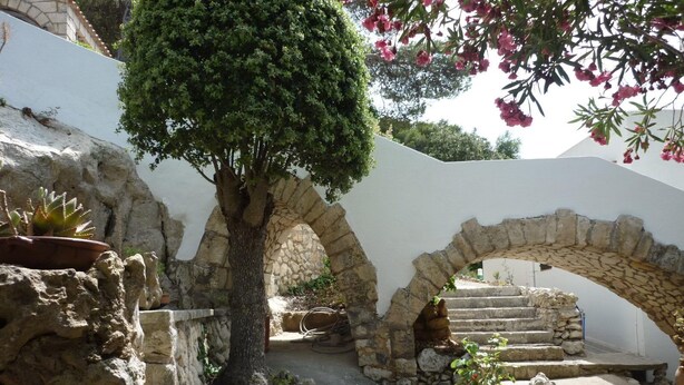 Un patio con un árbol de piedra, arcos y una planta en maceta.