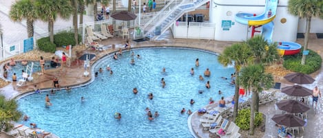 Una amplia piscina interior con varias pistas, rodeada de palmeras y tumbonas.