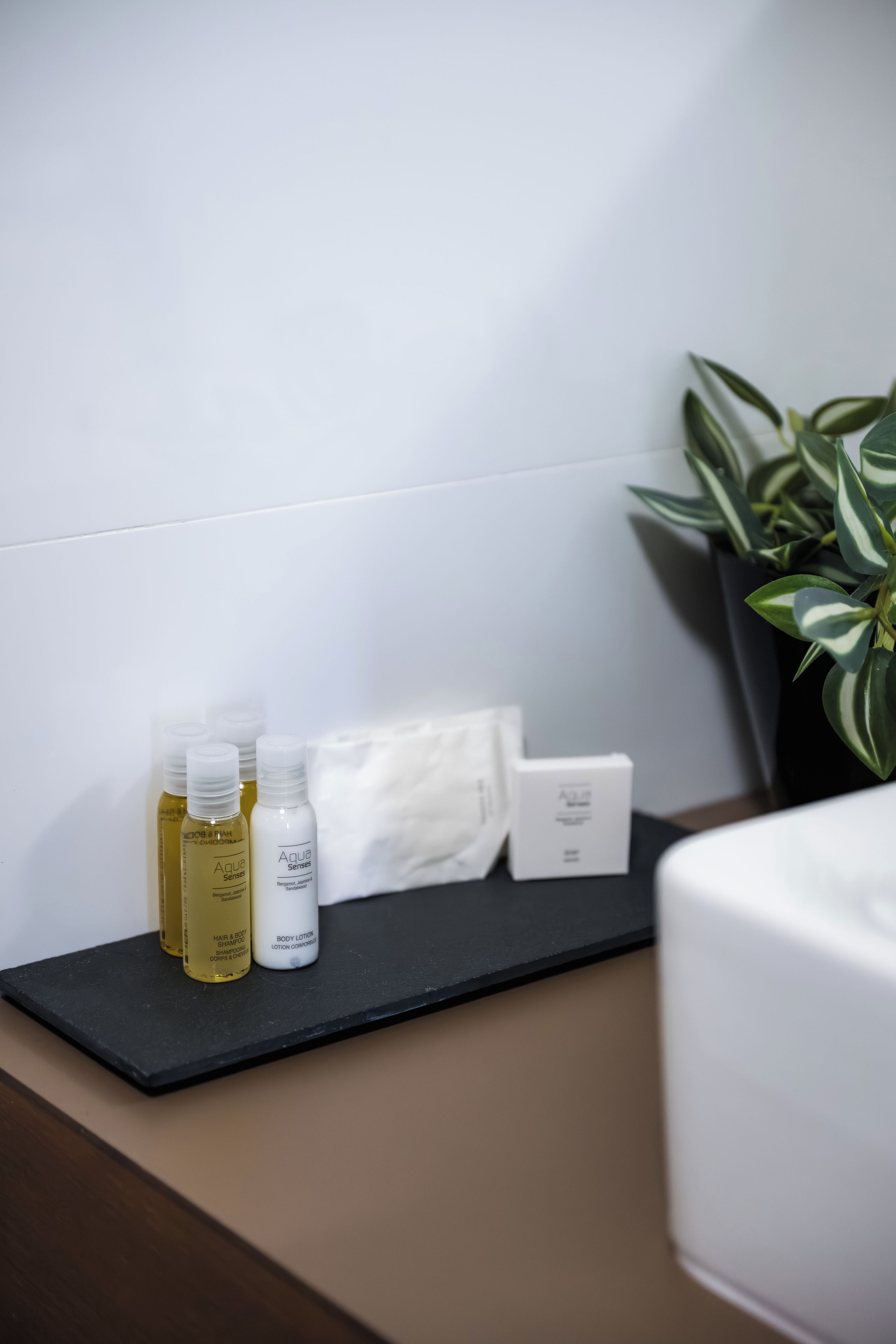 Un meuble-lavabo de salle de bain avec des articles de toilette, notamment du shampoing, une lotion pour le corps et une boîte.