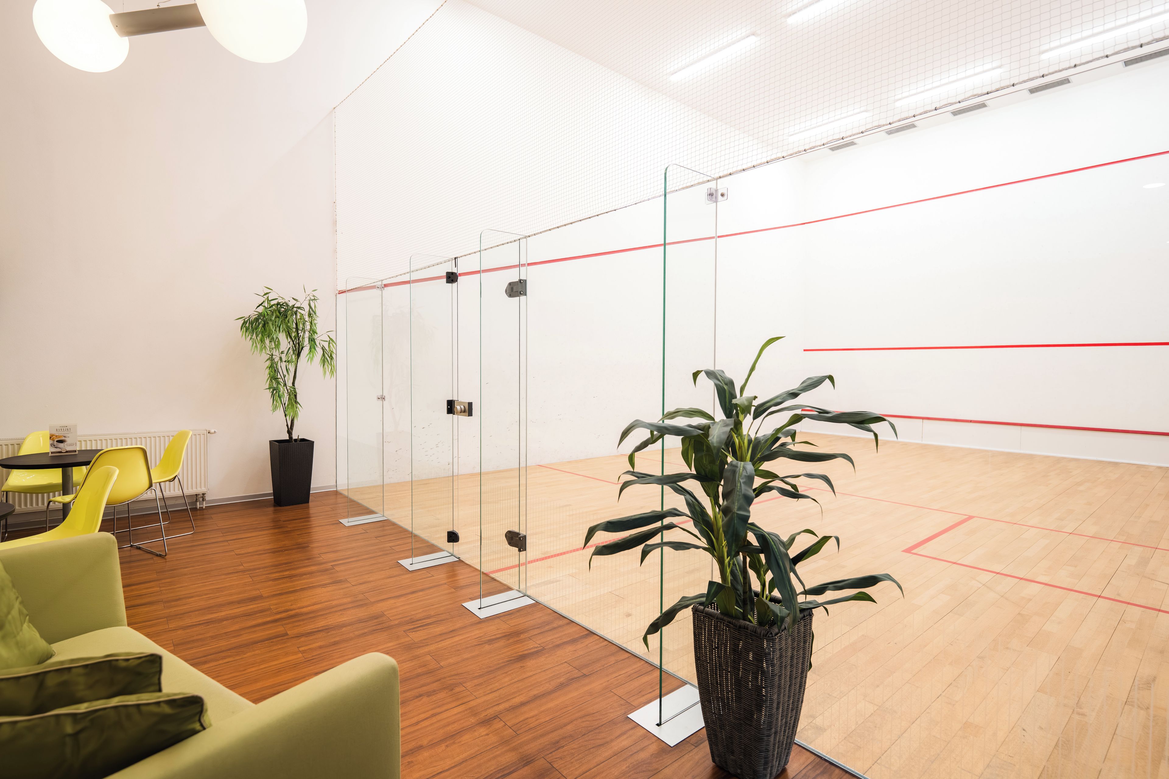 A modern indoor space with a squash court, seating area, and potted plants.