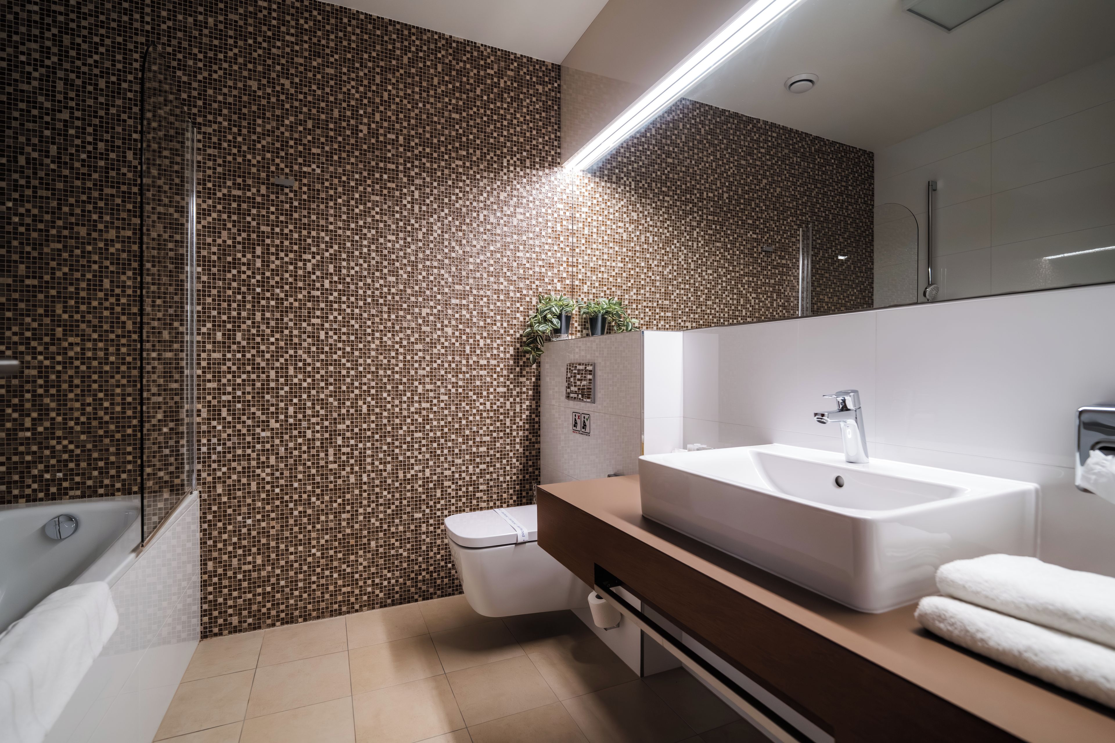 Habitación estándar con 1 cama matrimonial o 2 individuales | Baño
