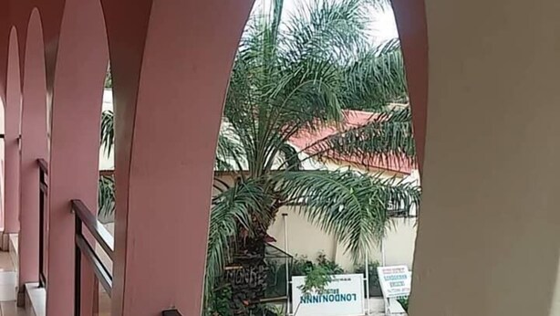 Un pasillo con techos abovedados y vistas a una palmera y un edificio con tejado rojo.