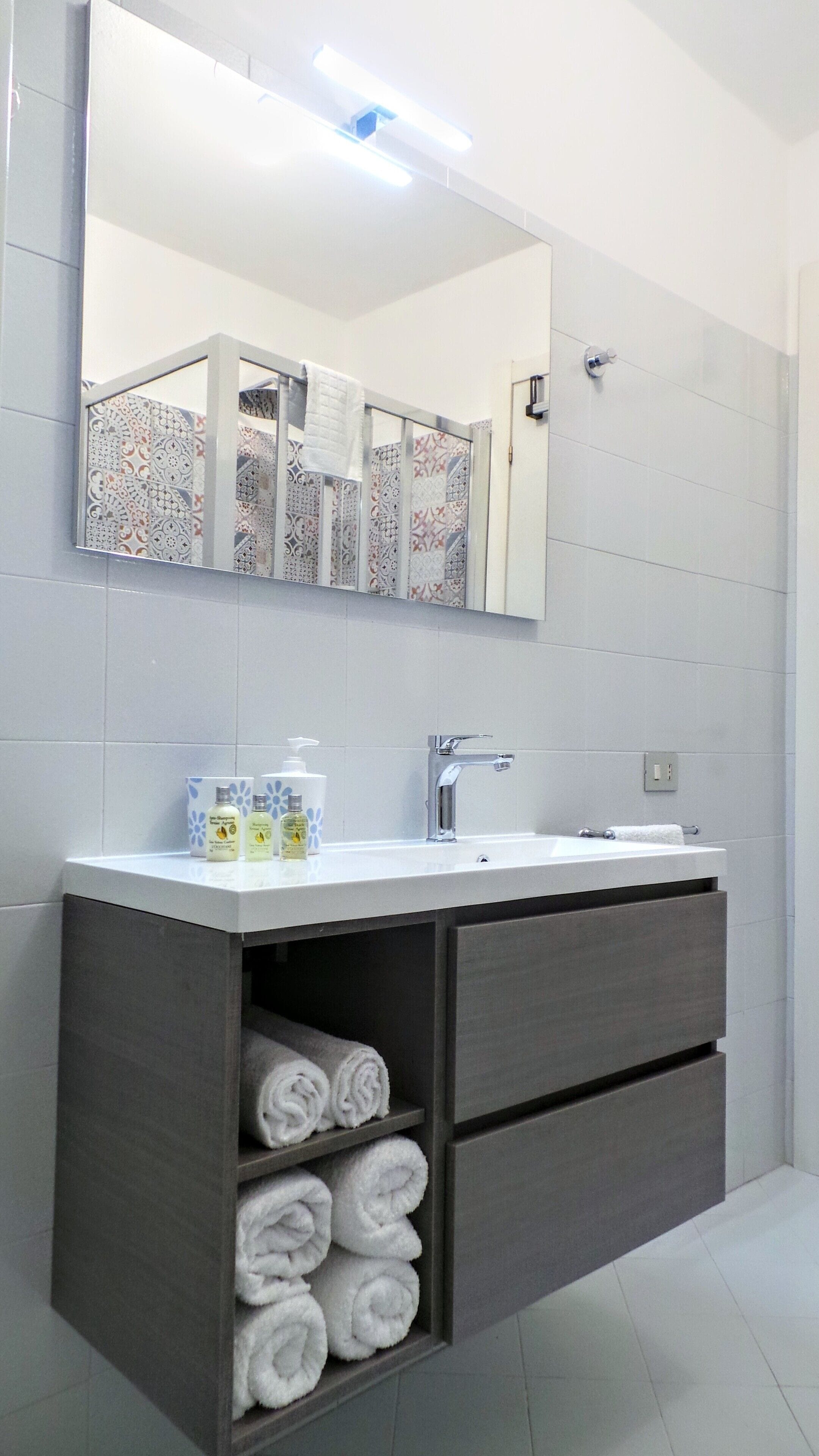 Shower, hair dryer, bidet, towels
