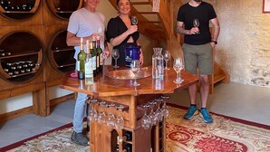 A wooden wine cellar with wine racks and a tasting table.
