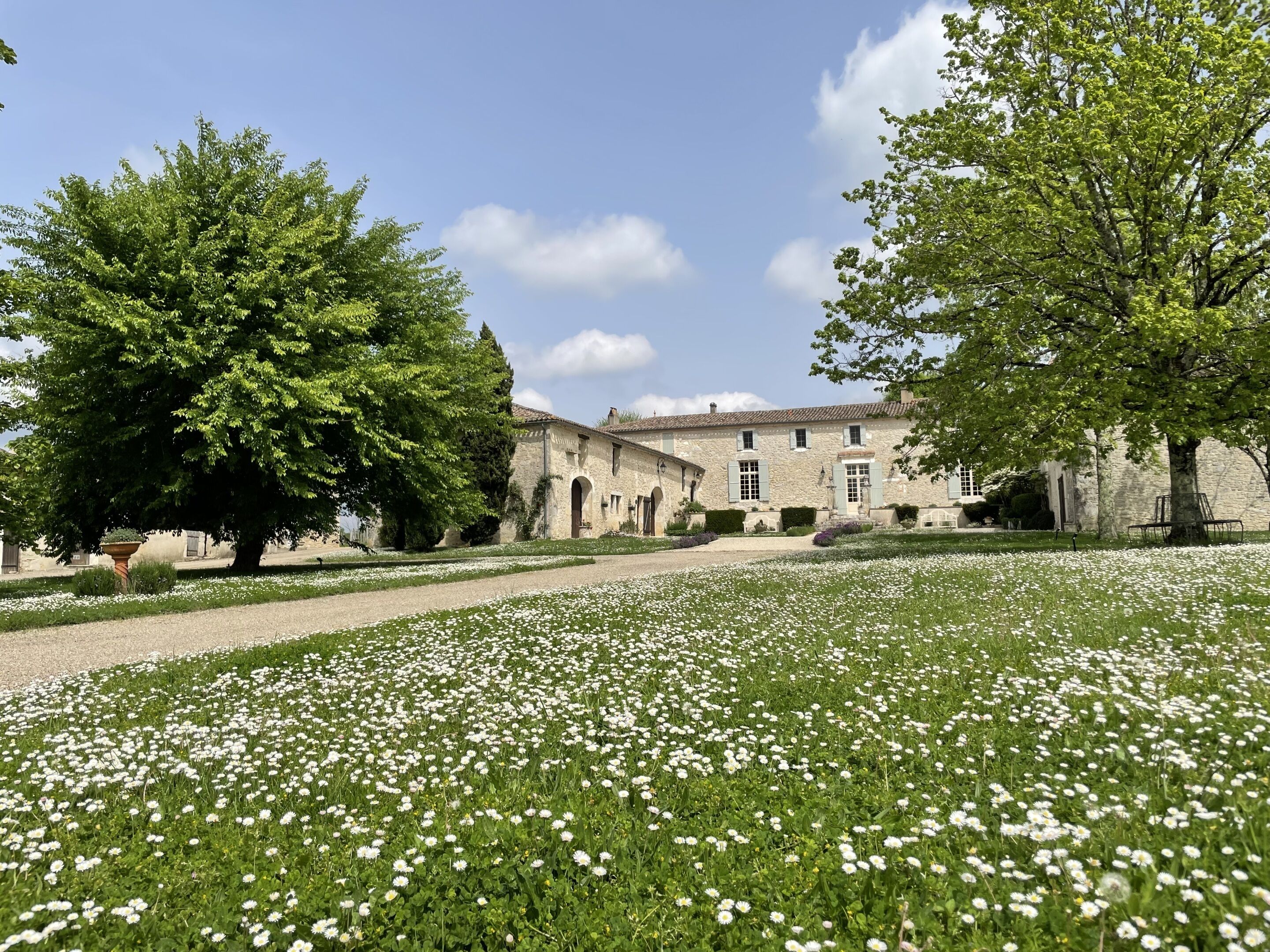 Un edificio storico in pietra con un giardino pieno di fiori bianchi e alberi grandi.