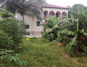 Vườn