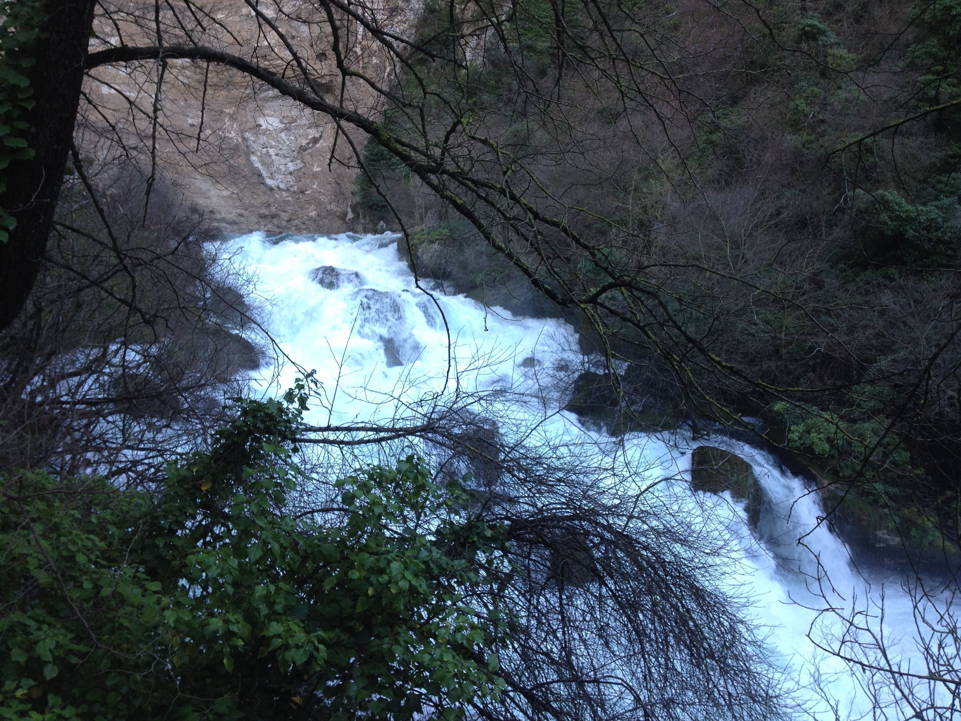 Een waterval omringd door dicht bos.